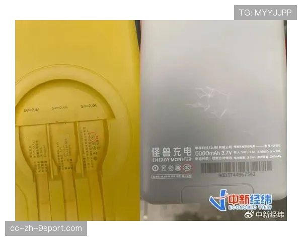 充电宝质量隐患频出，三大品牌召回总值破亿，近4成充电宝抽检不合格 新闻